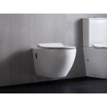 Raul 66 Rimless Wall Hung Toilet Pan Only